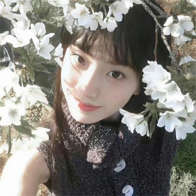 伟大艺术 第一季