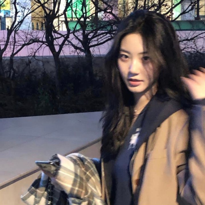 希德尼娅的骑士